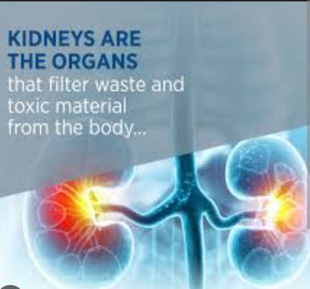 5 simple ways to know your kidneys are in excellent Health 

1. Morning breath feels fresh and clean.

2. Ener