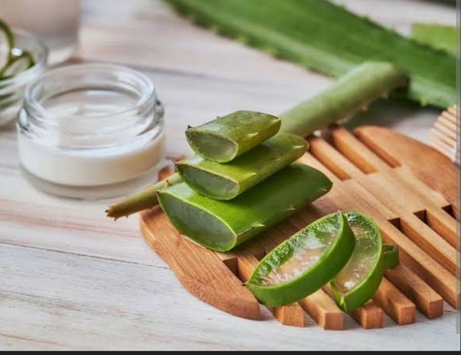 ALOE VERA AND CAMPHOR FOR DANDRUFF 

Dandruff can weaken hair roots, leading to hair fall. Using Aloe Vera Gel