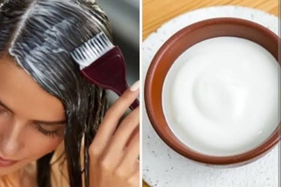 BENEFITS OF APPLYING CURD ON HAIR

1. It treats Dandruff.

2. It conditions Hair.

3. Reduces Hair fall.

4. P