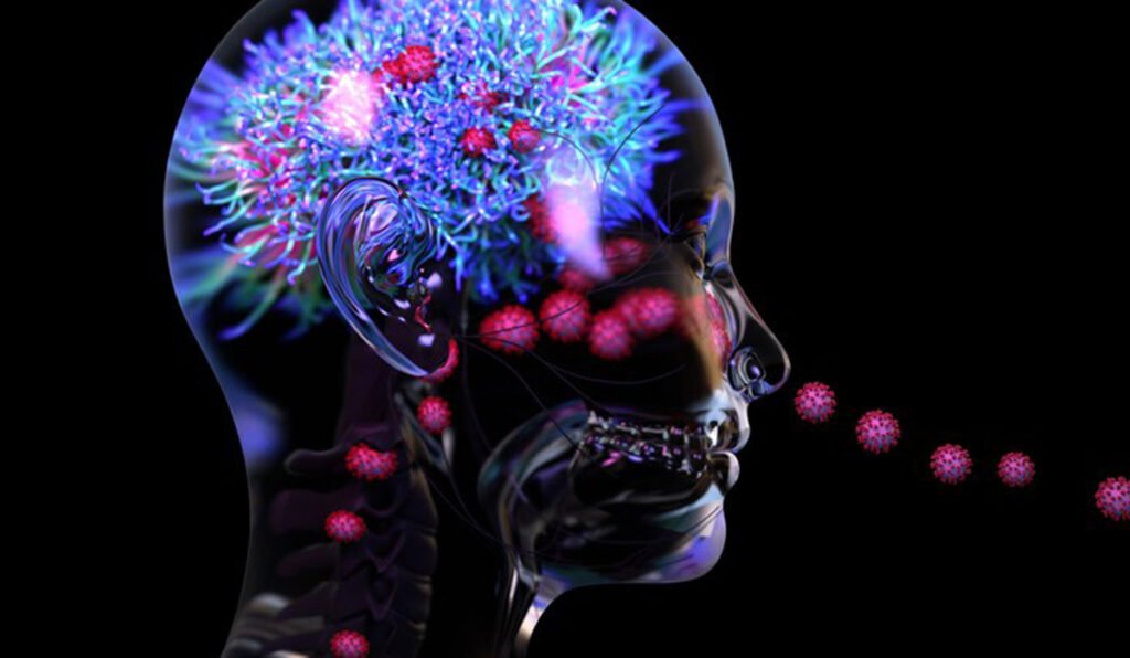 Explained | How brain-eating amoeba is causing deaths in Kerala