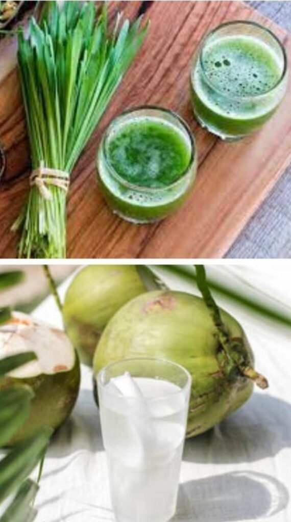 COCONUT AND WHEATGRASS WATER FOR KIDNEY STONES 

Coconut water's electrolyte mix promotes hydration and diures