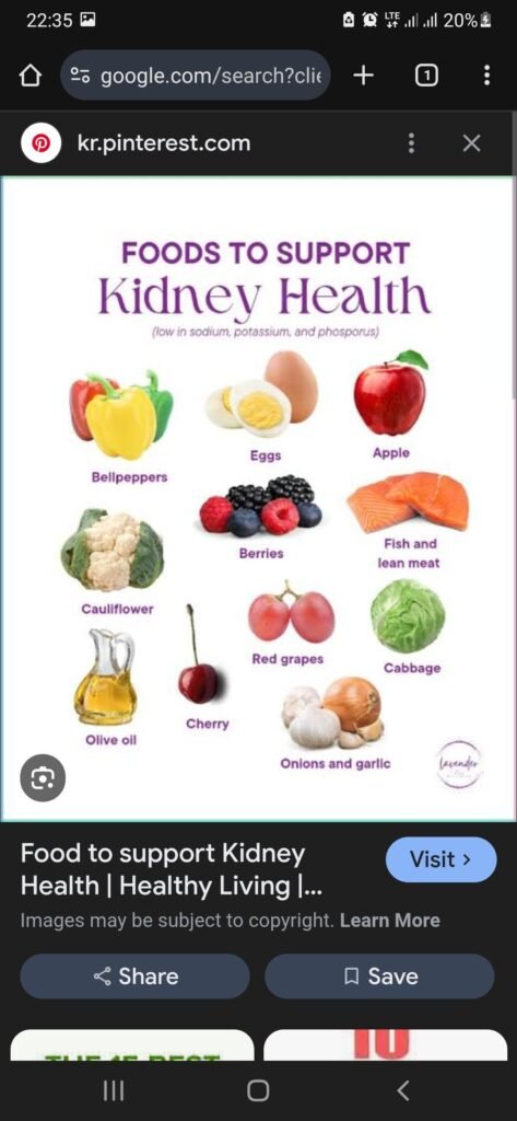 FOODS FOR A STRONGER PAIR OF KIDNEYS 

To promote kidney health, focus on consuming foods that are low in sodi