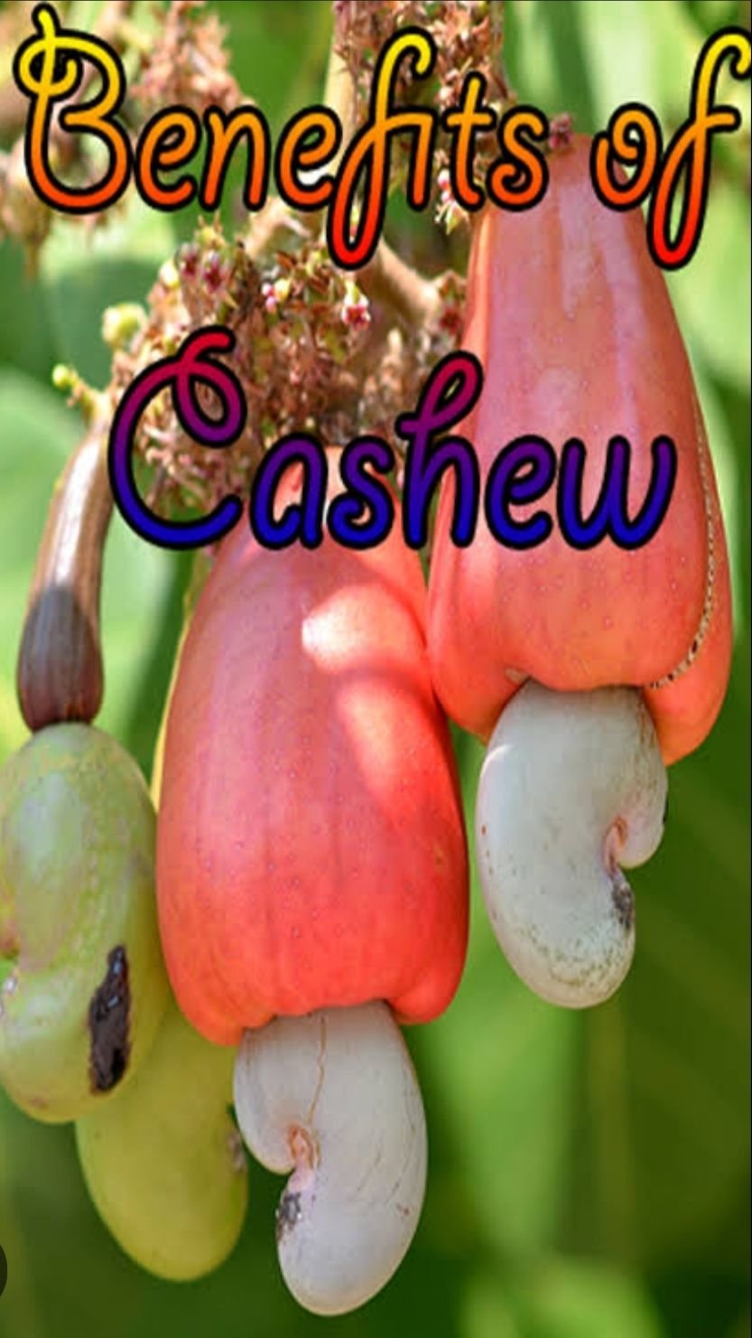 HEALTH BENEFITS OF CASHEWS