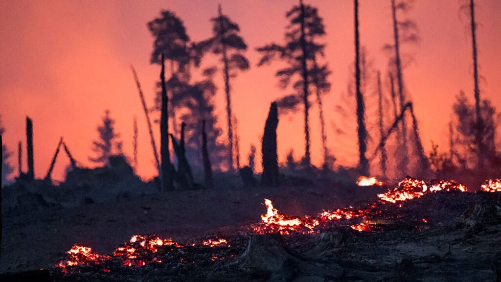 Massive Wildfires Rage into Third Day in Eastern Germany Amid Europe Heatwave
 July 3, 2025
 Gorisheide, Saxo