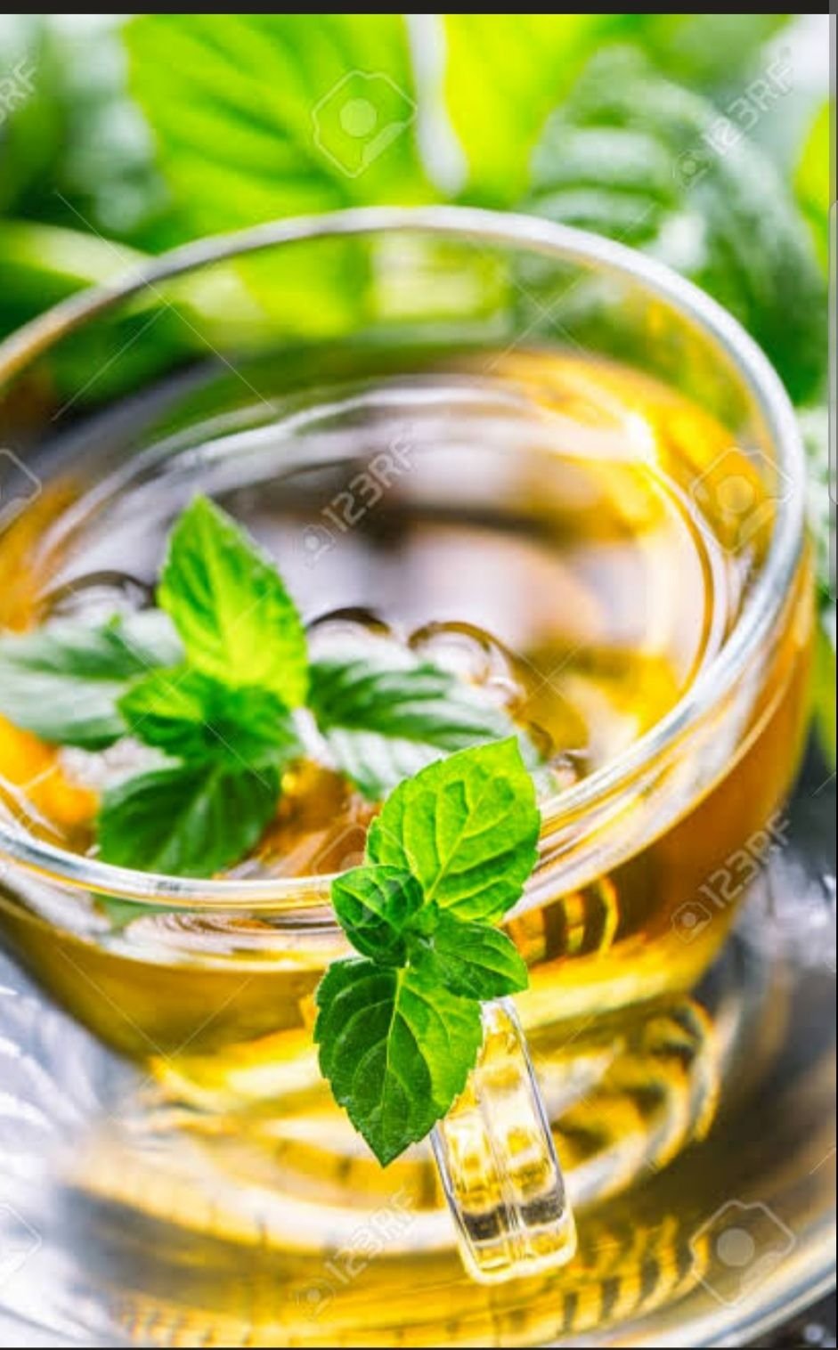 Natural Pain Relief and Fighting Infections With Mint 

Mint serves as a topical ally against various pains. W