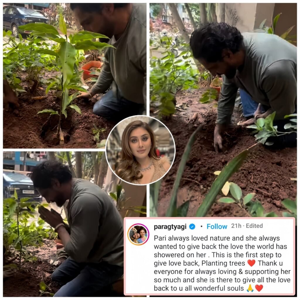#ParagTyagi pays a heartfelt tribute to his late wife #ShefaliJariwala by planting trees in her memory. 
A sil