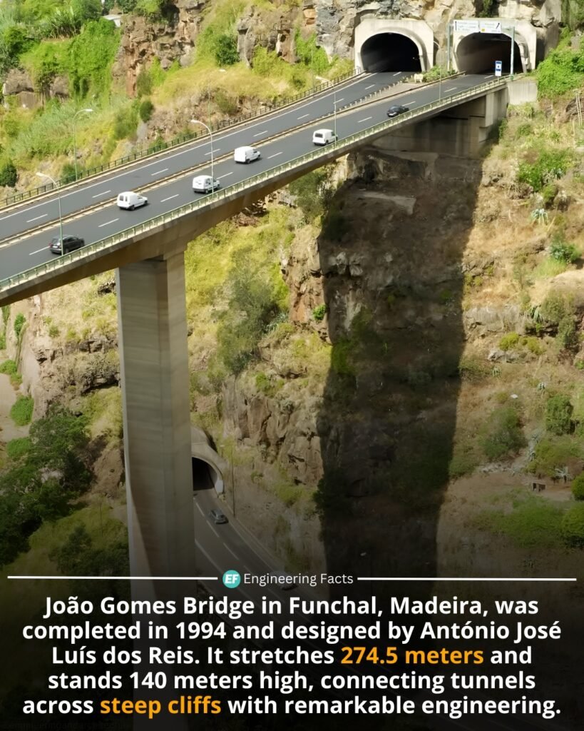 Perched high above a rugged canyon on the island of Madeira, the João Gomes Bridge is more than just a road —