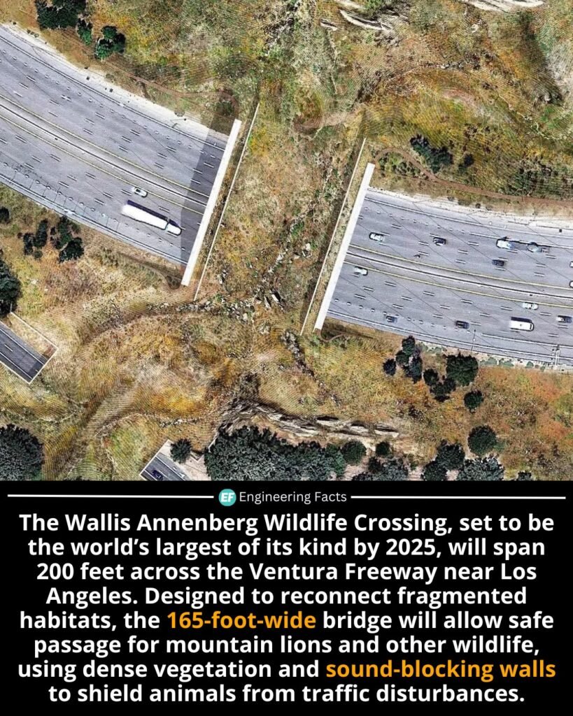Stretching over eight lanes of speeding cars, the Wallis Annenberg Wildlife Crossing is an extraordinary engin