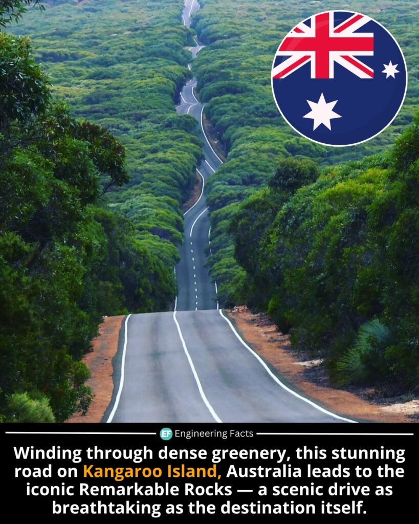 Stretching through Flinders Chase National Park, this iconic road on Kangaroo Island isn't just scenic—it’s a