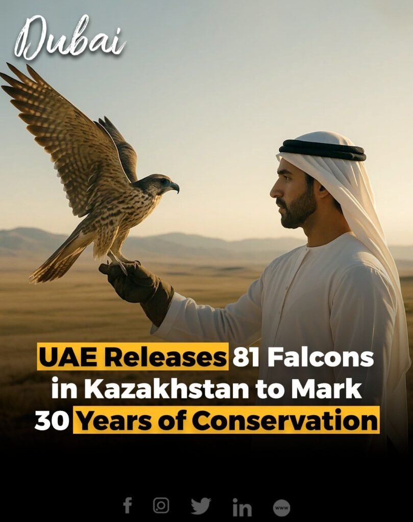 The Sheikh Zayed Falcon Release Program has reached a major milestone by releasing 81 falcons into the wilds o